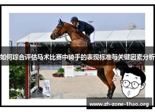 如何综合评估马术比赛中骑手的表现标准与关键因素分析