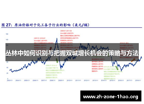 丛林中如何识别与把握双城增长机会的策略与方法