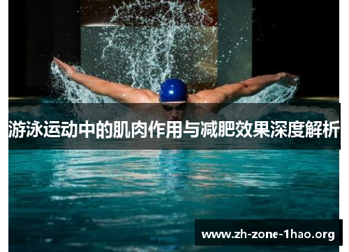 游泳运动中的肌肉作用与减肥效果深度解析