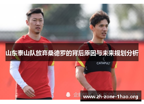山东泰山队放弃桑德罗的背后原因与未来规划分析 山东泰山队放弃桑德罗的背后原因与未来规划分析