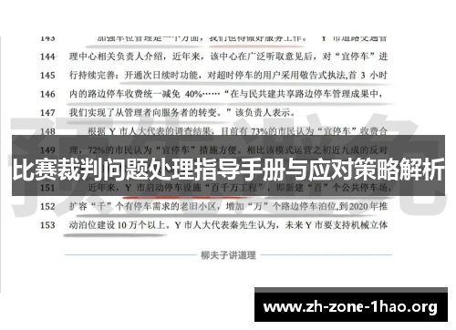 比赛裁判问题处理指导手册与应对策略解析