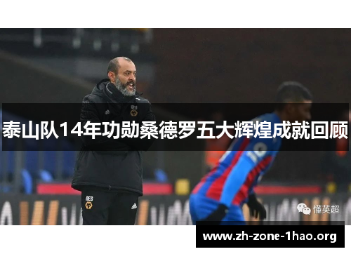 泰山队14年功勋桑德罗五大辉煌成就回顾