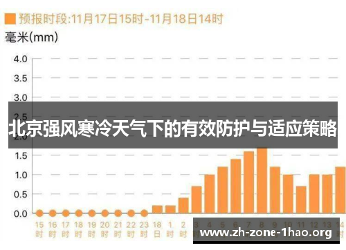 北京强风寒冷天气下的有效防护与适应策略