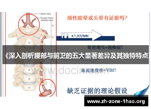《深入剖析腰部与前卫的五大显著差异及其独特特点》